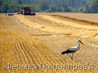 Рентабельність збиральної кампанії 2026 під питанням, є дефіцит потужностей зберігання зібраного врожаю