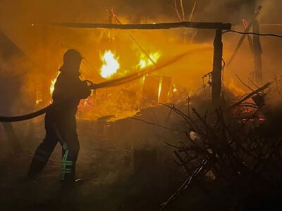 Контроль не завадив шкідливій звичці принести збитки закарпатці — PMG.ua
