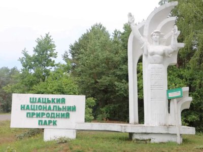ДБР розслідує можливі зловживання з вирубкою лісу в Шацькому нацпарку