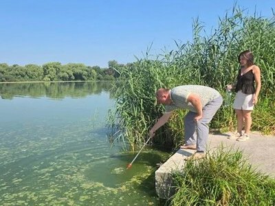 Результати досліджень у Вінниці Південного Бугу, який «позеленів», вразили екологів