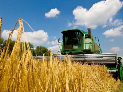 Україна вже зібрала врожай з майже половини полів