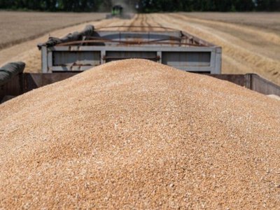 Молдова надасть 50%-ву знижку на транзит залізницею українських вантажів