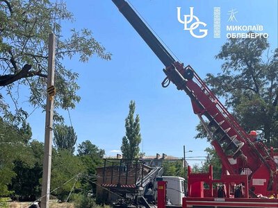 У Миколаєві дерево повалило електроопору