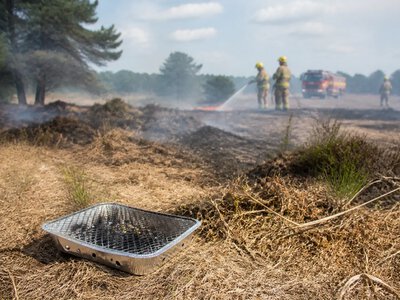 У Британії розглянуть обмеження одноразових мангалів через природні пожежі