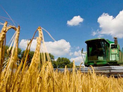 Росія заявила про понад 3,8 млн тонн зерна, які зібрали на окупованих територіях України