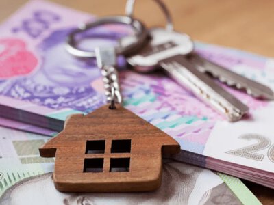 Робота з житлом: на Рівненщині роботодавці пропонують 27 вакансій