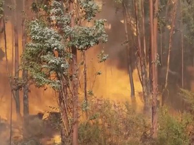 Іспанія готується до сонячного затемнення в умовах загрози лісових пожеж (ВІДЕО)
