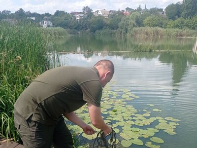 Екологи перевірили чотири ділянки річки Рось, але замору риби не виявили