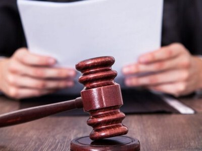На В через суд  хочуть повернути громаді 425 гектарів землі