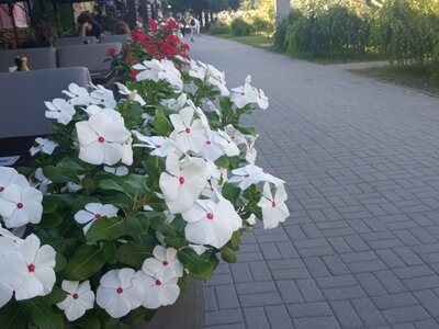 Яка погода буде у Запоріжжі наприкінці цього робочого тижня