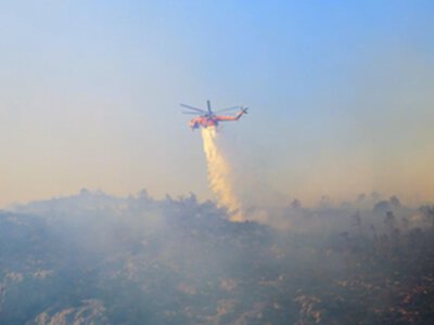 У Греції затримали 281 людину у зв’язку з лісовими пожежами