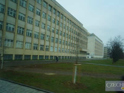 Менш ніж за тиждень у Чехії вже відмовили десяткам українців у тимчасовому захисті: що перевіряє МВС