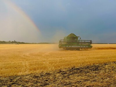 На Прикарпатті успішно завершили збір ранніх зернових