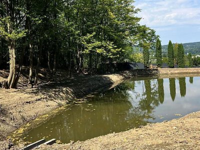 У нацпарку «Гуцульщина» створили нову водойму: вона стане домівкою для рідкісних видів