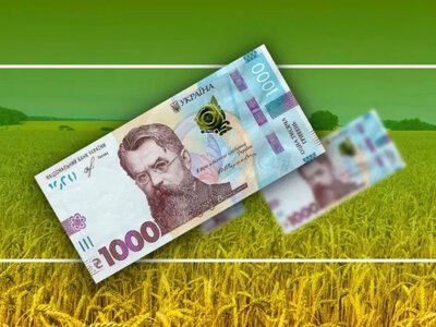 Агросектор України: потреби у фінансуванні