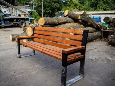 ​КМДА: зрізані дерева з Теремків використають для благоустрою парків
