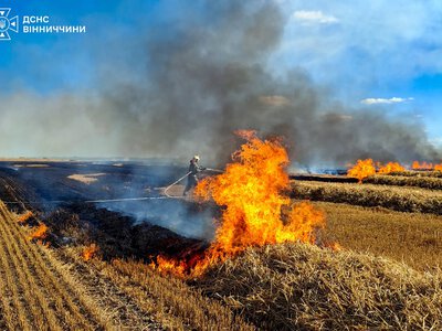 Понад 9 га горіли на Вінниччині