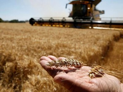 Українське село під ударом: чому аграрії опинилися на межі виживання