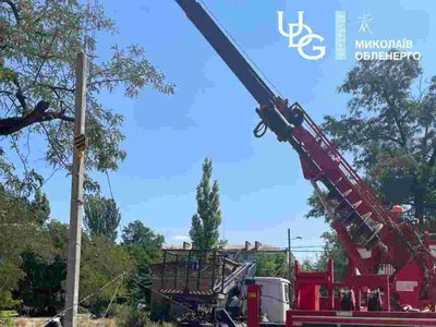 Впало дерево: у Миколаєві екстрено замінили пошкоджену опору електромережі
