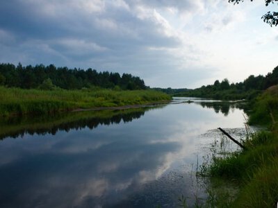 У водоймах Чорнобильського заповідника виявили два види червонокнижних риб (ФОТО)