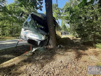 У Чехії поблизу Тршебоня автобус врізався в дерево на трасі I/34: четверо людей отримали травми
