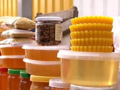 Ціни на мед на Житомирщині: новий врожай подорожчав