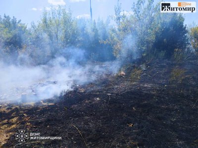 На Житомирщині 13–15 серпня прогнозують надзвичайний рівень пожежної небезпеки