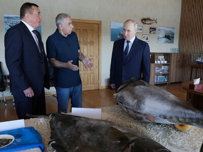 Путін уперше відвідав Курили та викликав протест Японії