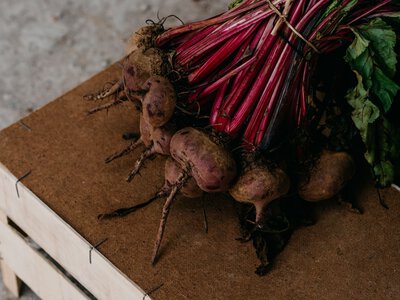 Що їсти для здоров’я судин: 10 продуктів, які можуть підтримувати кровообіг
