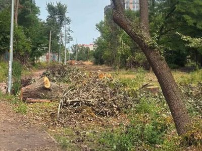 Теплотрасу на Теремках призупинили: шукають маршрут в обхід парку