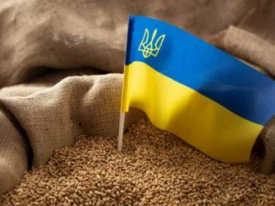 Молдовські фермери виступили проти 50% знижки на транзит українських вантажів