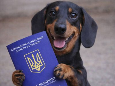 Тварини отримуватимуть паспорти нового зразка
