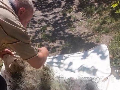 Смілянські водолази передали військовим пів кілометра браконьєрських сіток