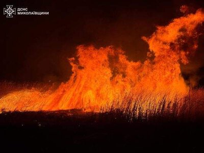 З початку року на Миколаївщині вигоріло майже 2 тис га