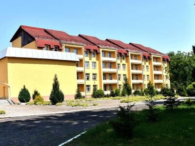 Позапланова перевірка «Артеку» на Закарпатті: Мінсоцполітики підтвердило шокуючі порушення