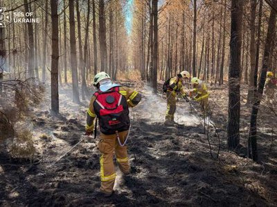 Французские пожарные обвинили правительство в недостаточной поддержке и готовятся к забастовке