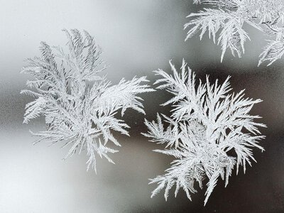 Україну взимку можуть накрити сильні морози: як впливає на погоду Ла-Нінья