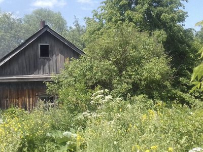 Сміття, бур'яни, авто на газонах: у громаді нагадали про штрафи