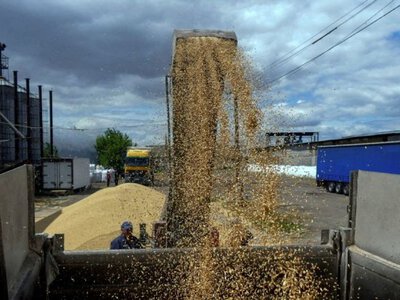  Експорт зерна з України у серпні обвалився на 75% через російські атаки на порти 