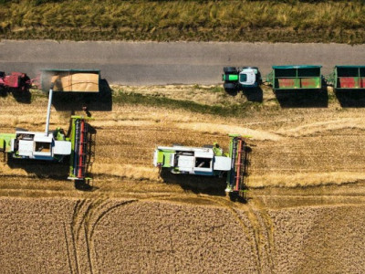 Україна готує агросектор до правил ЄС: що відомо про нові пріоритети євроінтеграції