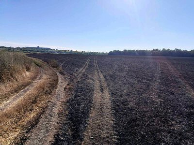 Спалювання стерні обернулося штрафом у Миколаївській області