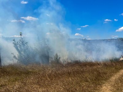 На Вінниччині в полі виявили обгоріле авто