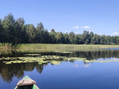 У Нобельському парку досліджують фітопланктон водойм