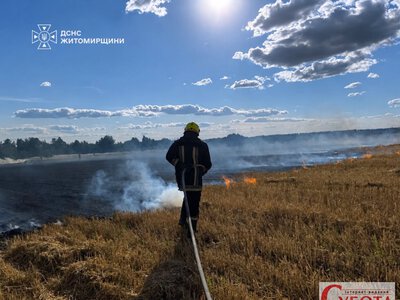 Сильний вітер ускладнював гасіння: на Житомирщині пожежа сухої трави знищила будівлю