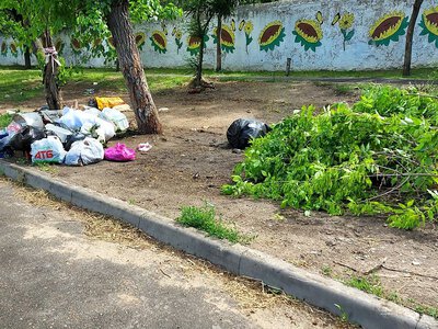 У Миколаєві ліквідували звалище біля школи-інтернату (фото)
