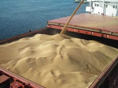 З початку серпня Україна експортувала лише 30% агропродукції потенційного експорту