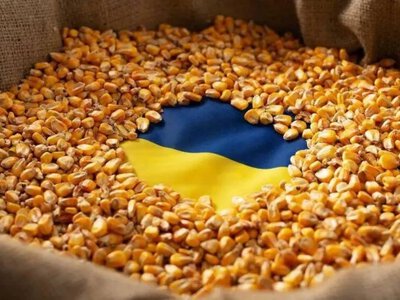 Експорт зерна з України: динаміка на старті сезону