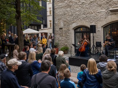 Tallinn Fringe Festival відзначить 10-річчя найбільшою програмою