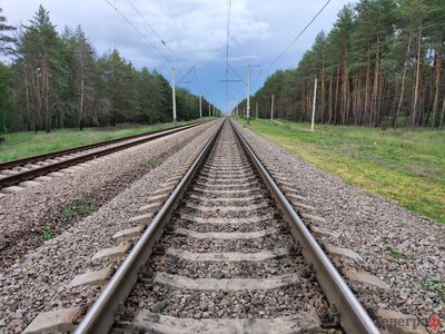 На Полтавщині поїзд збив 87-річну жінку