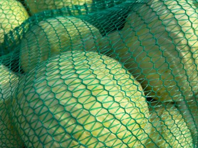 Скільки коштують овочі в Україні 14 серпня